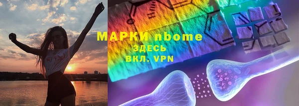 прущие грибы Горно-Алтайск