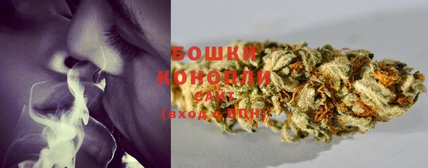 прущая мука Горняк