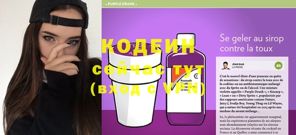 прущие грибы Горно-Алтайск