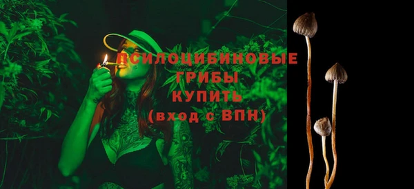 МДПВ Семилуки