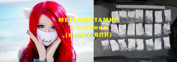 прущие грибы Горно-Алтайск