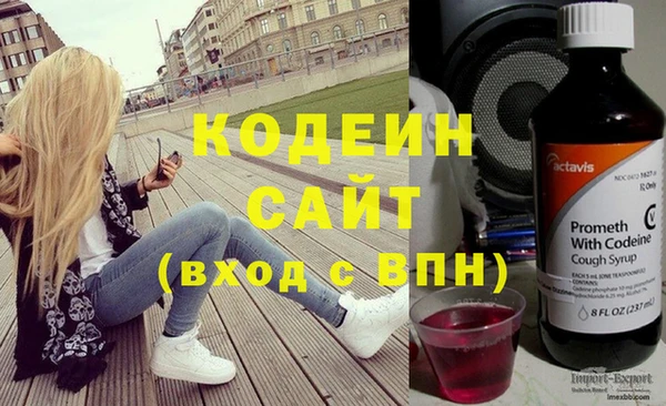 прущие грибы Горно-Алтайск