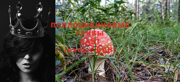 прущая мука Горняк