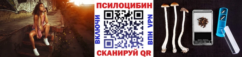 Галлюциногенные грибы мухоморы  что такое наркотик  Тула 